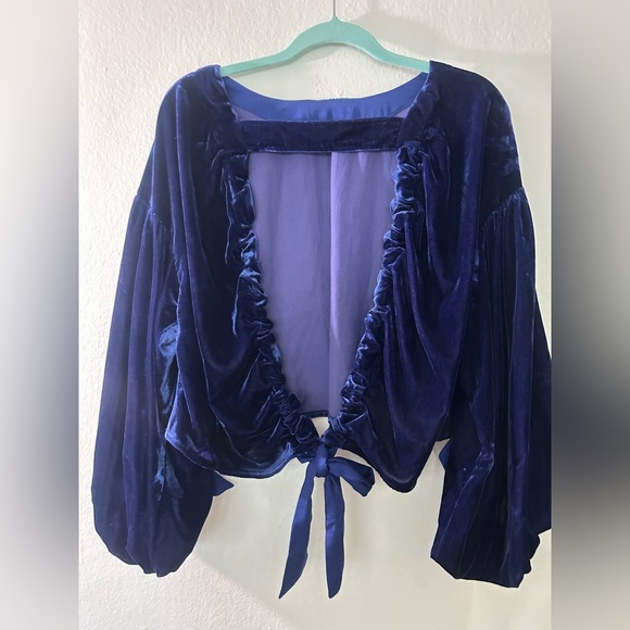Free People Blue Velvet Blouse with Open Back and Tie Details - Picture 5 of 6
